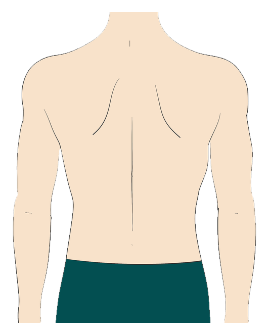 Back