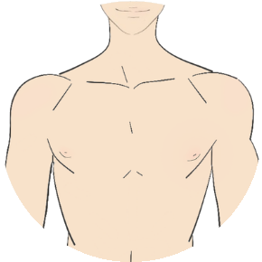 Chest