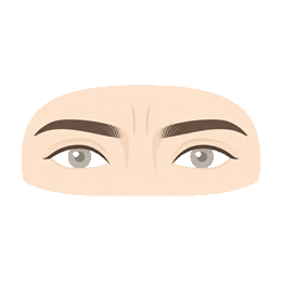 Brows & glabella