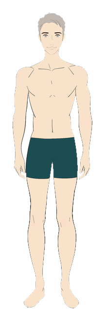 Full body