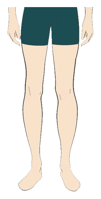 Full legs