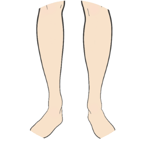 Lower legs