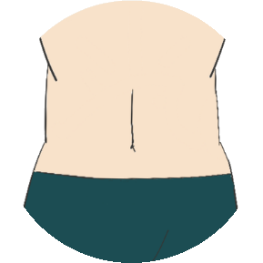 Stomach