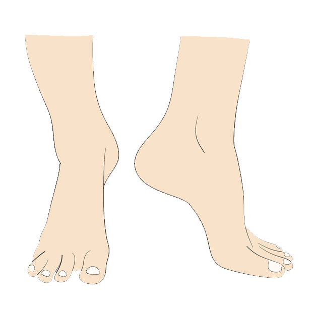Toes